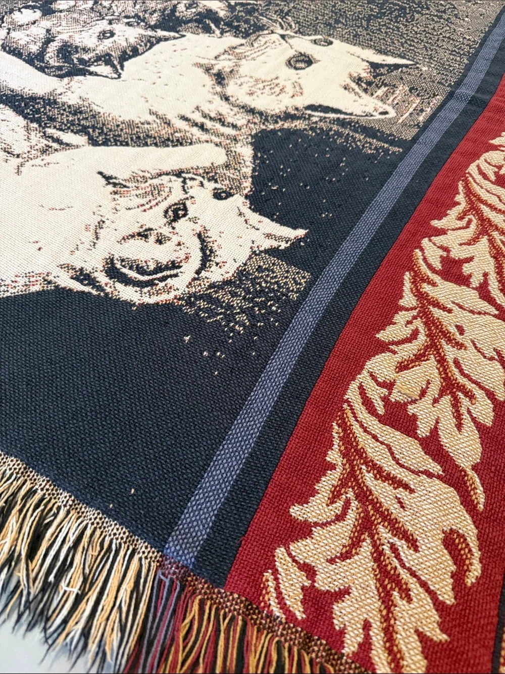 Vintage Cottagecore 100% Thick Cotton Tapestry Style Fringed Throw, 65”x48”